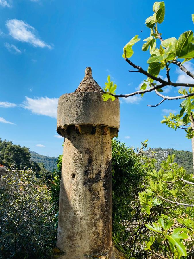 Villa Iva Lastovo Uble Ngoại thất bức ảnh